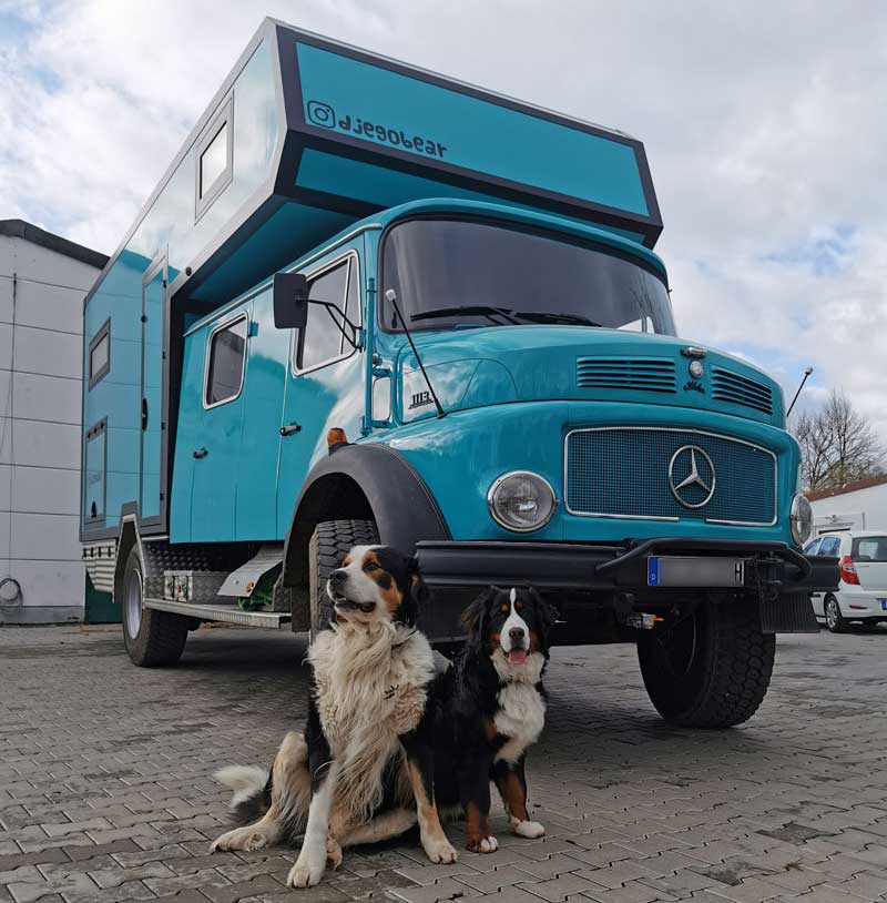 Two Dogs One Is Djego