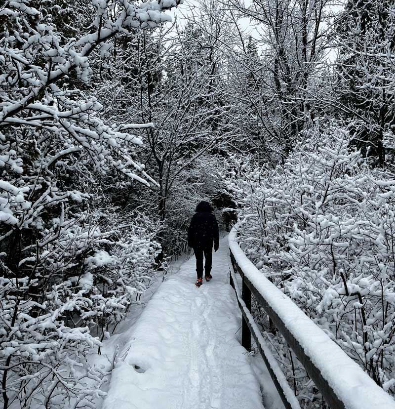 Beautiful Trails At MacGregor Point Provincial Park