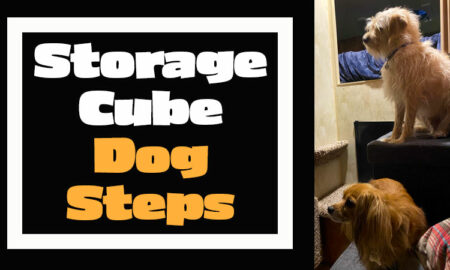 Using Storage Cube as Dog Steps Into Camper Cabover