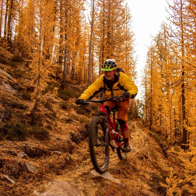 Mountain Bike Riding In Summer