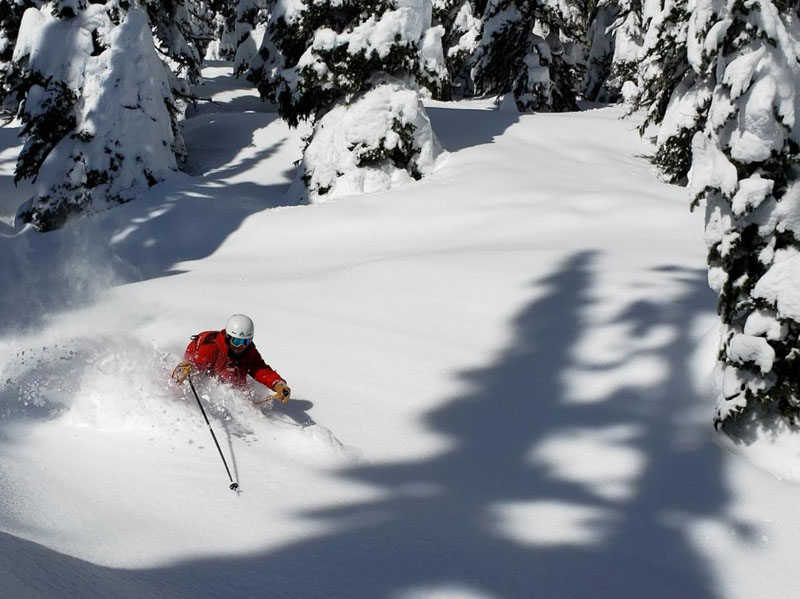 Skiing And Avalanche Mitigation