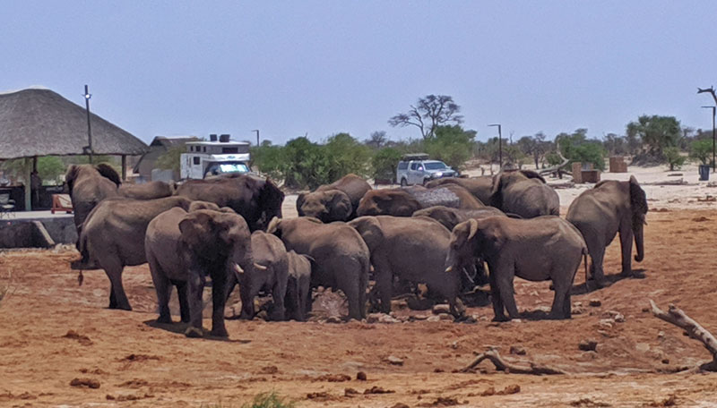 Elephant Sands Botswana