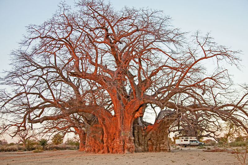 Overlanding Africa Camper By The Baobabs 2 1387