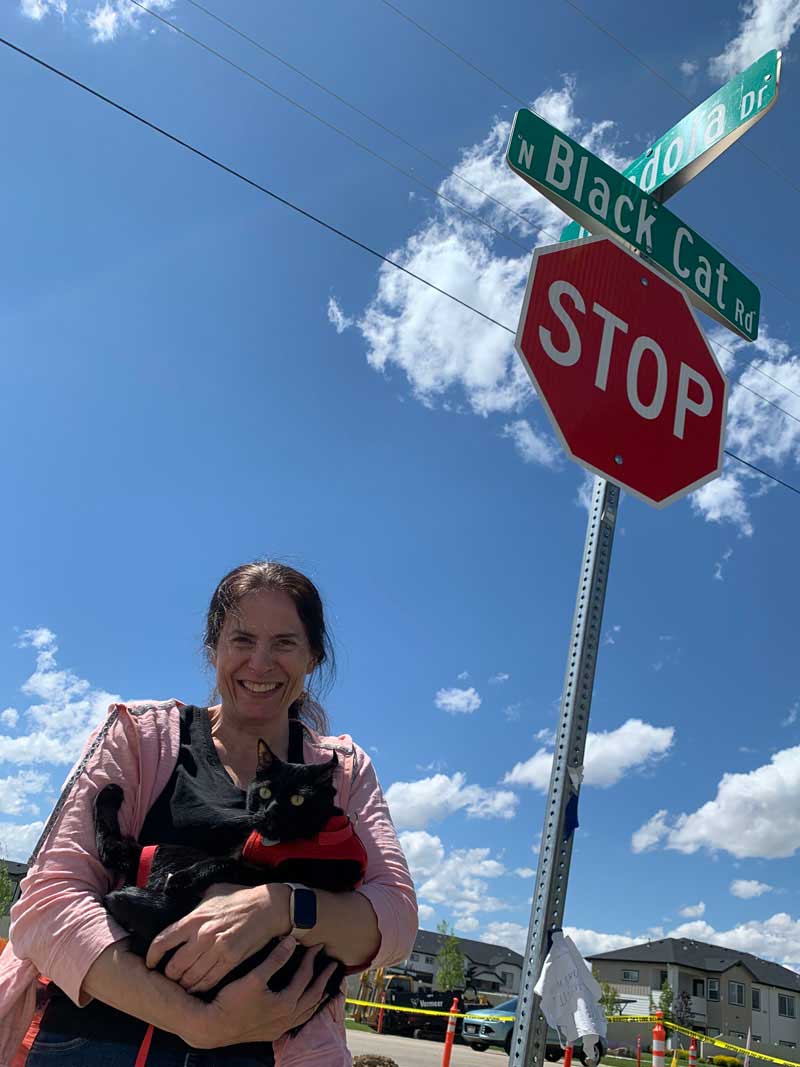 Cosmo at Black Cat Road, Meridian, Idaho