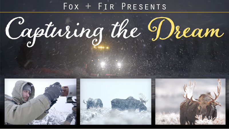 Fox+Fir Capturing The Dream Scout Camper