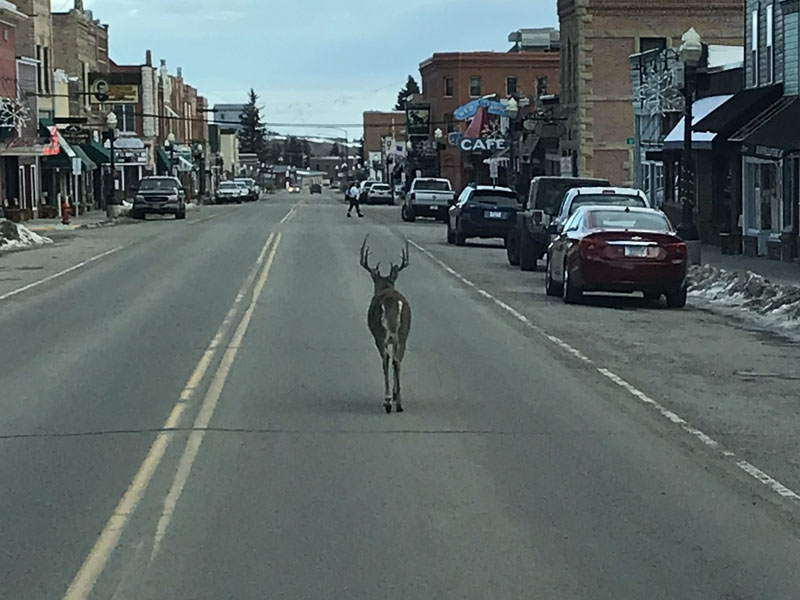 Downtown Red Lodge, Montana