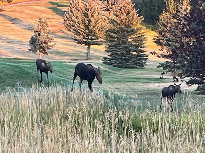 Red Lodge Early Fall