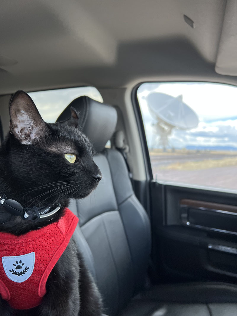 Cosmo at Very Large Array