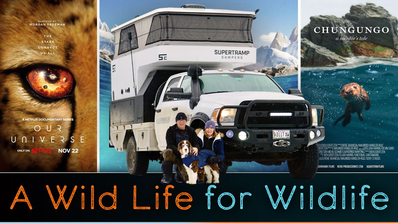 Wild Life For Wild Life