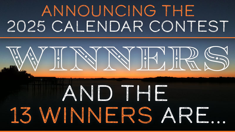 2025 Calendar Winners