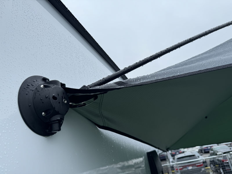 Palomino Suction Cups
