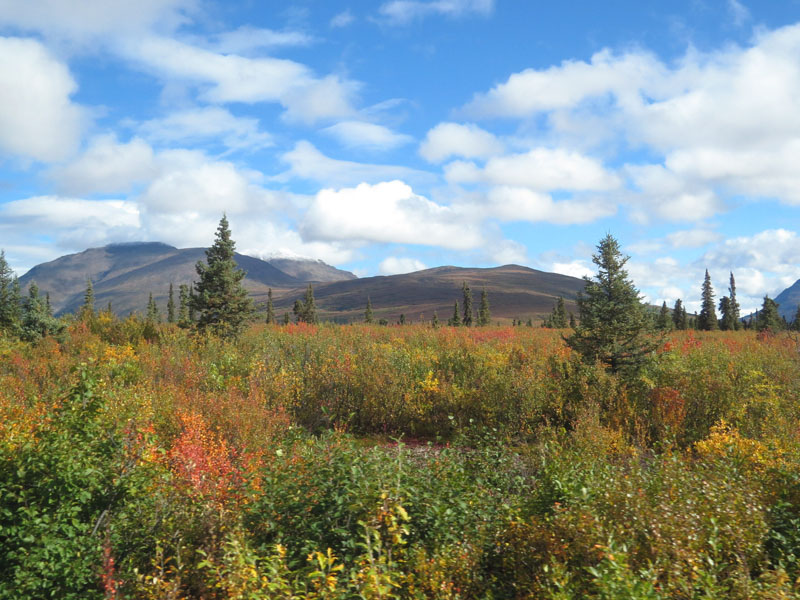 Denali Highway Colors