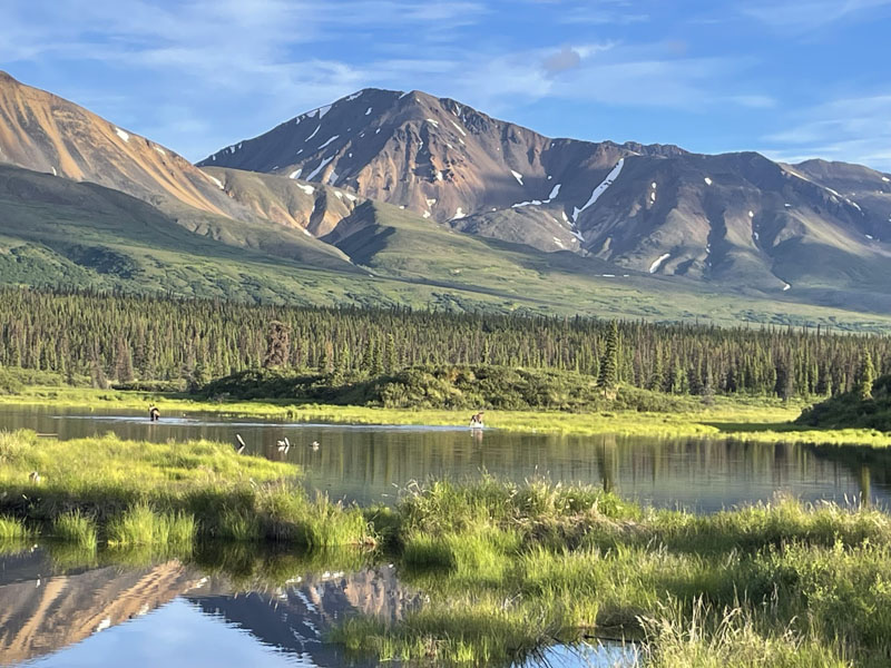 Denali Road outside of Denali National Park