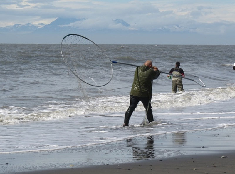Dipnetters In Kenai