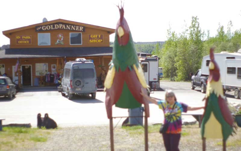 Gold Panner Chicken Alaska