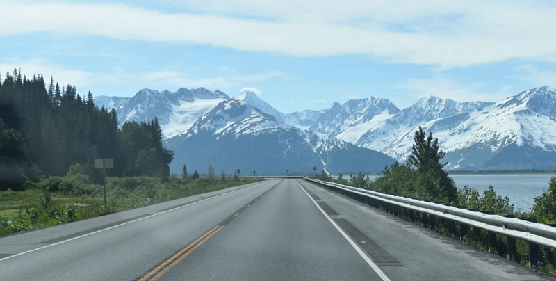 Heading In The Direction Of Homer
