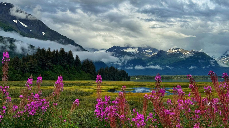 View from Valdez RV Park