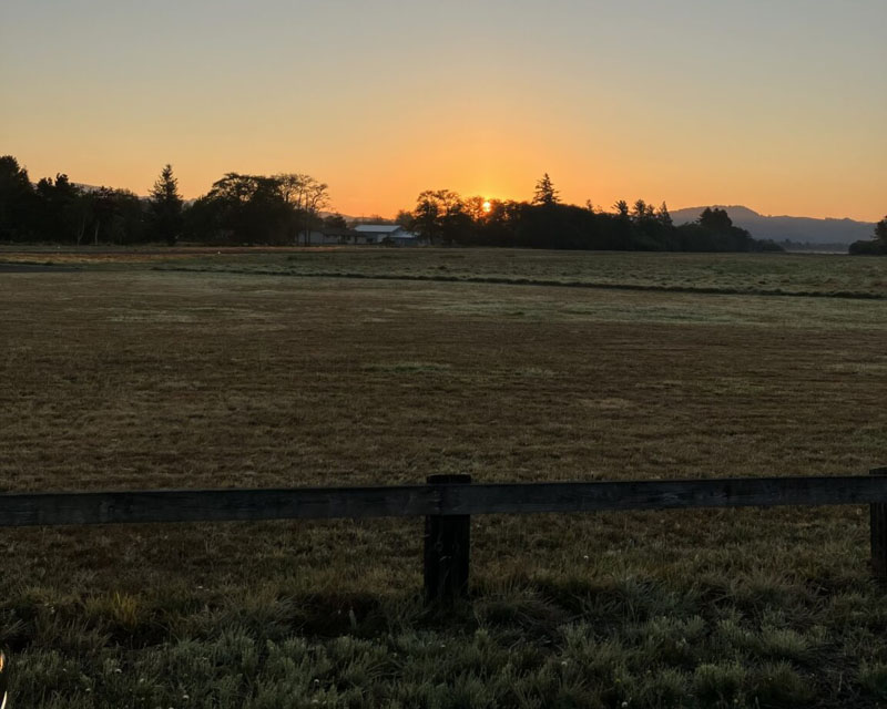 Port Of Ilwaco Washington Airport