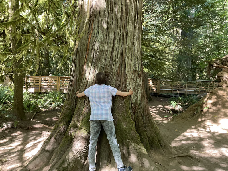 Cathedral Grove Look At That Cedar
