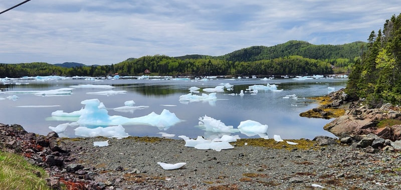 Little Icebergs In Roberts Arm