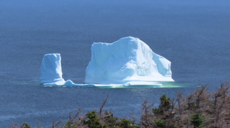 Off The Coast At Twillingate IceBerg