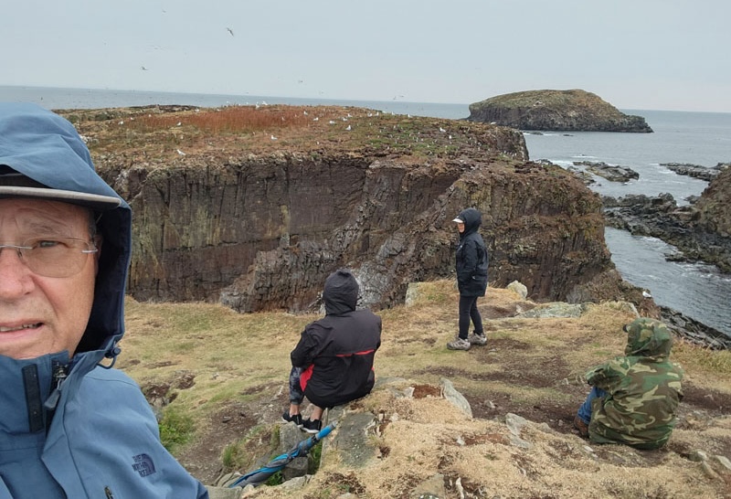 Puffin Viewing At Elliston