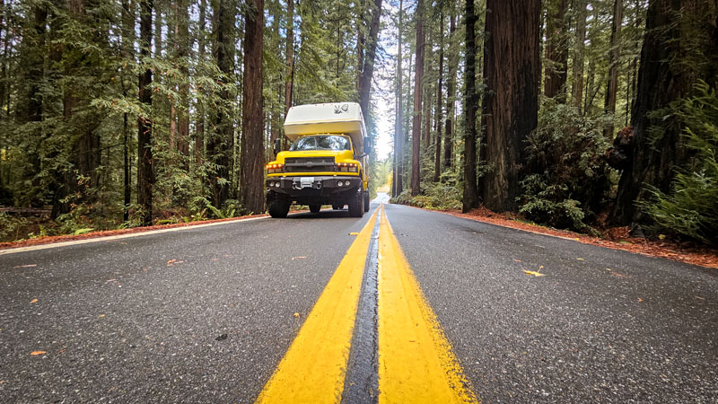 Ave Of The Giants California