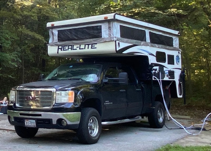 Palomino Real Lite