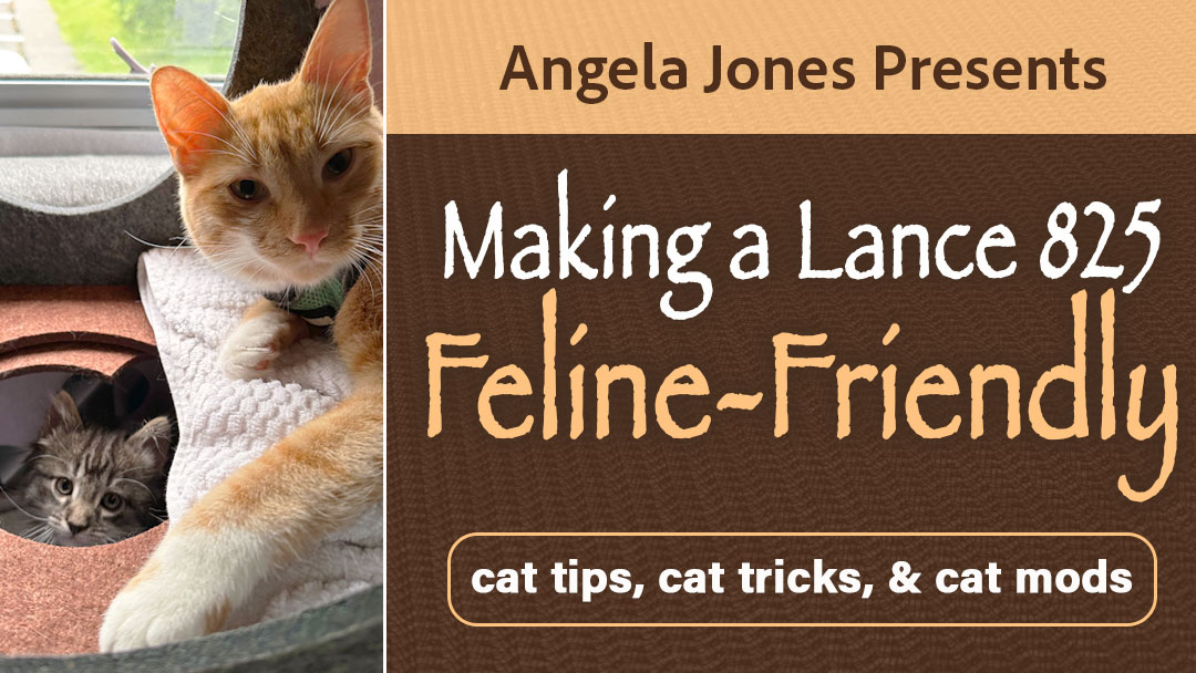 Feline Friendly Cat Mods