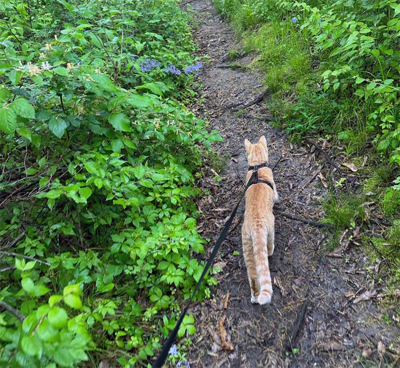 The Path Few Follow