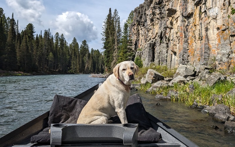 Lance Miss Butter Trout Hunting From The Bow In Eastern Idaho Eliseo
