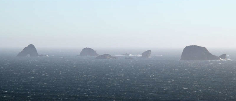 Oregon Ravine That The Tide Rushed Into