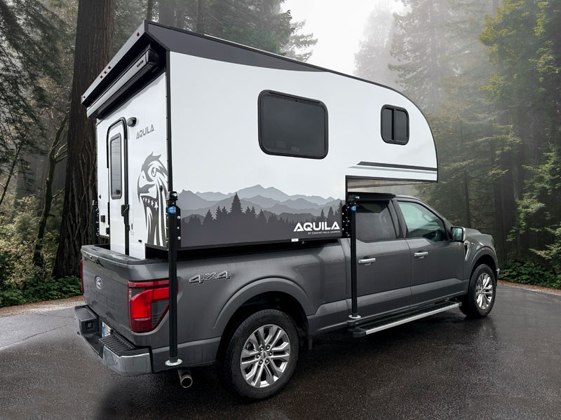 Soaring Eagle Aquila On Truck