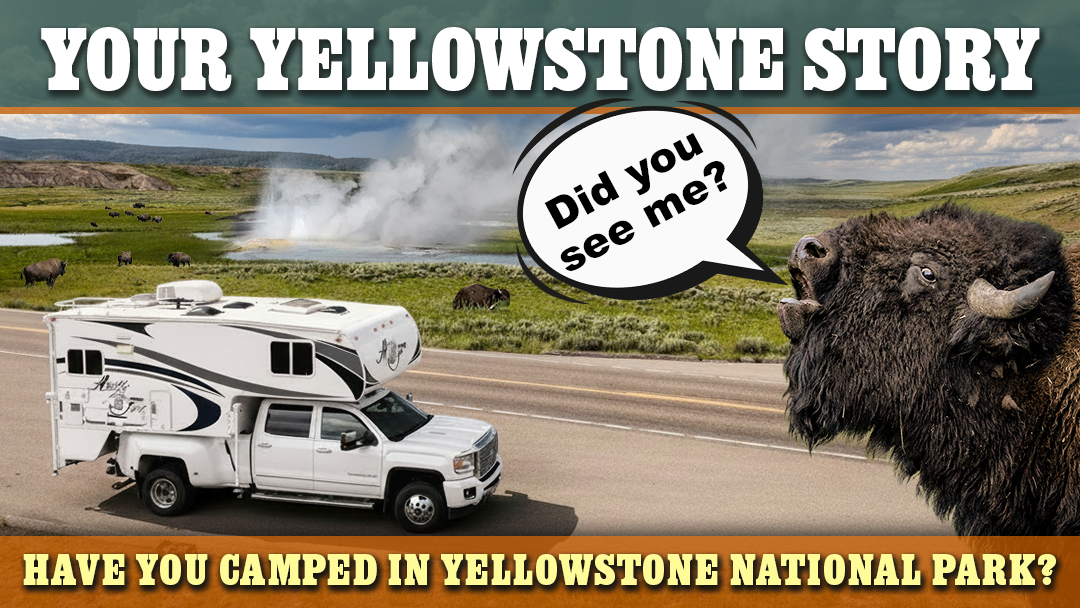 Have You Camped in Yellowstone National Park