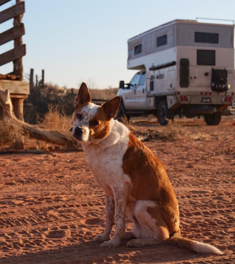 Utah Phoenix Pop Up Truck Camper HD Adventuring (10)