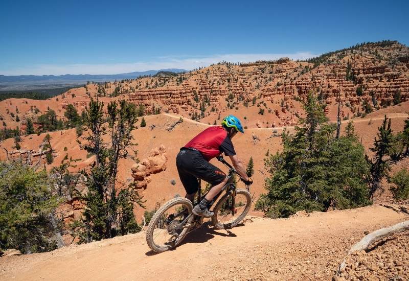 Arctic Fox 865 David Clock Walls Of Stone And A Life In Motion Mountain Biking