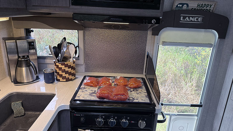 Salmon Alaska's Bounty