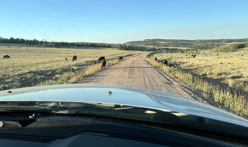 Long Dirt Road Wyoming