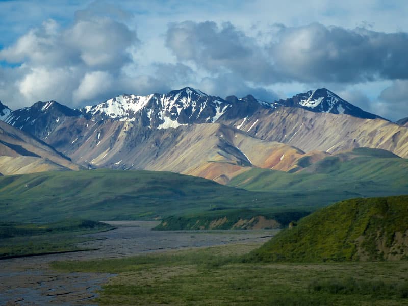 Denali painted mountains