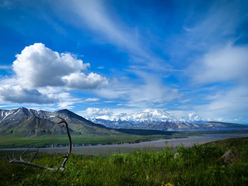 Denali view of summit