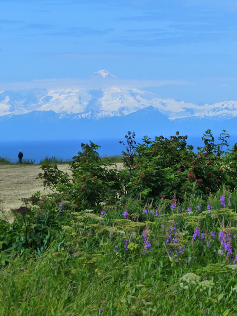 Mount Redoubt (10,197 feet) across Cook Inlet from the campground