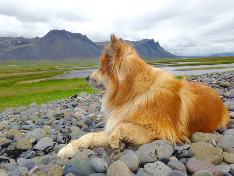 Snaefellsnes Peninsula Mountain Range