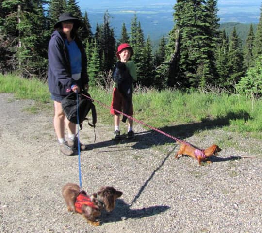 ready-for-camping-dogs-hikingatmtspokane