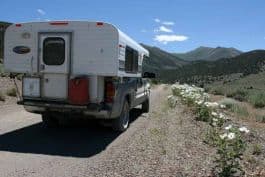 MacPherson-Nevada-Prikely Poppys Along the Road to Kingston