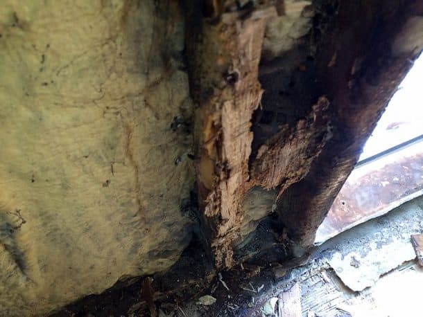 Rotten wood needed to be removed.