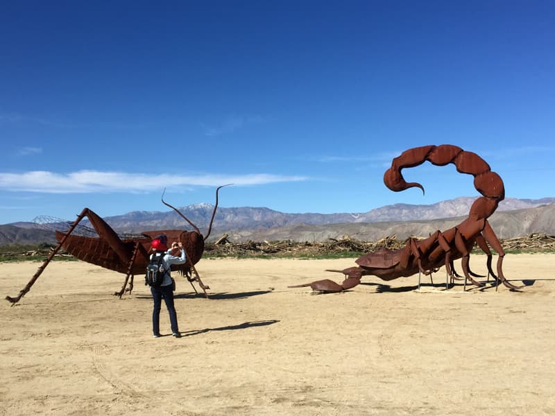 Anza Borrego bug sculptures