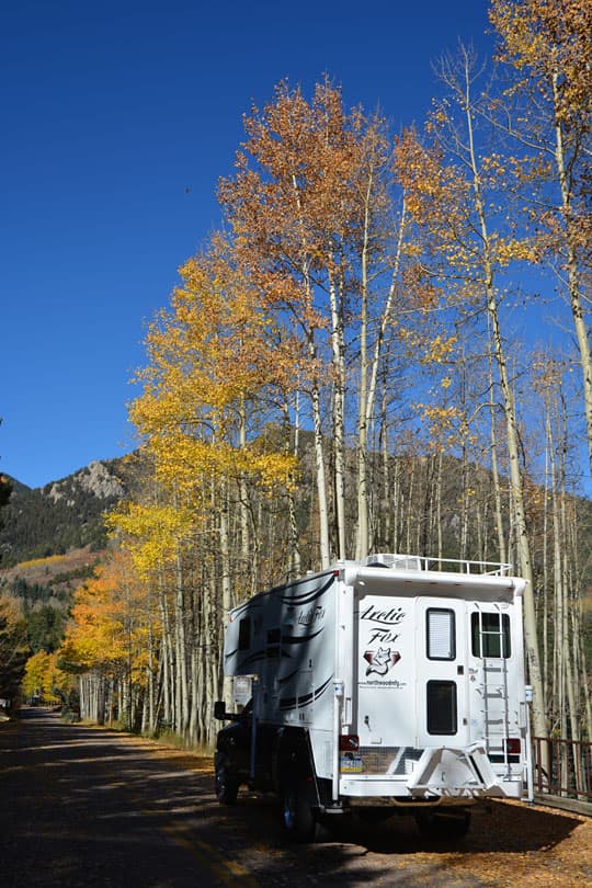 Arctic-Fox-990-Colorado-Aspen-Trees