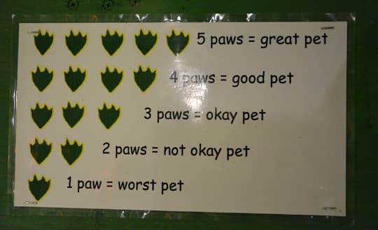 Arctic-Fox-990-Colorado-Gator-Paws-Pet-Sign