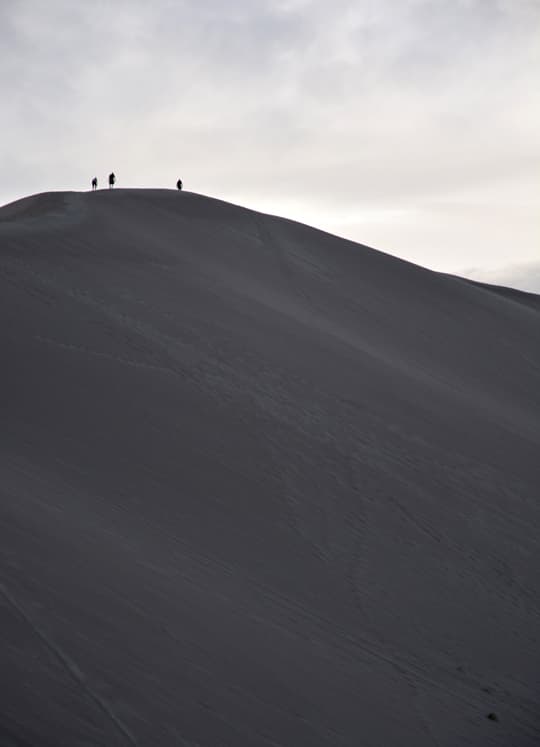 Arctic-Fox-990-Really-Big-Dunes