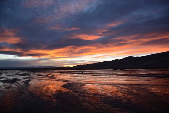 Arctic-Fox-990-Sand-Dunes-Sunset